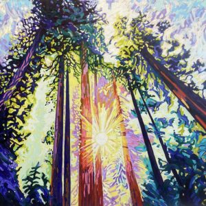 Sunburst in the Redwood Forest #1