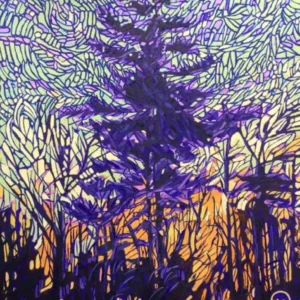 Pines at Dusk