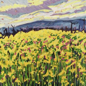 Mustard in the Vineyard in Napa Valley
