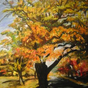 Quabbin Tree