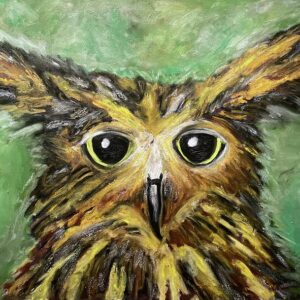 The Quirky Owl