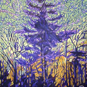 White Pine in the Forest