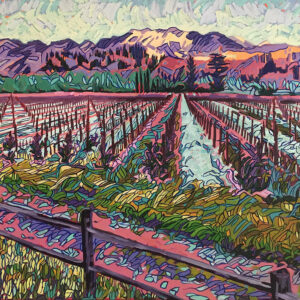 Winter in the Vineyard, Napa Valley